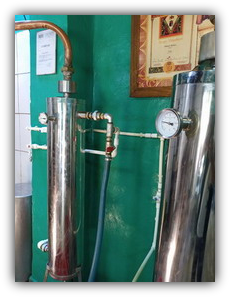 PECARA IBOLYA - BAČKA TOPOLA